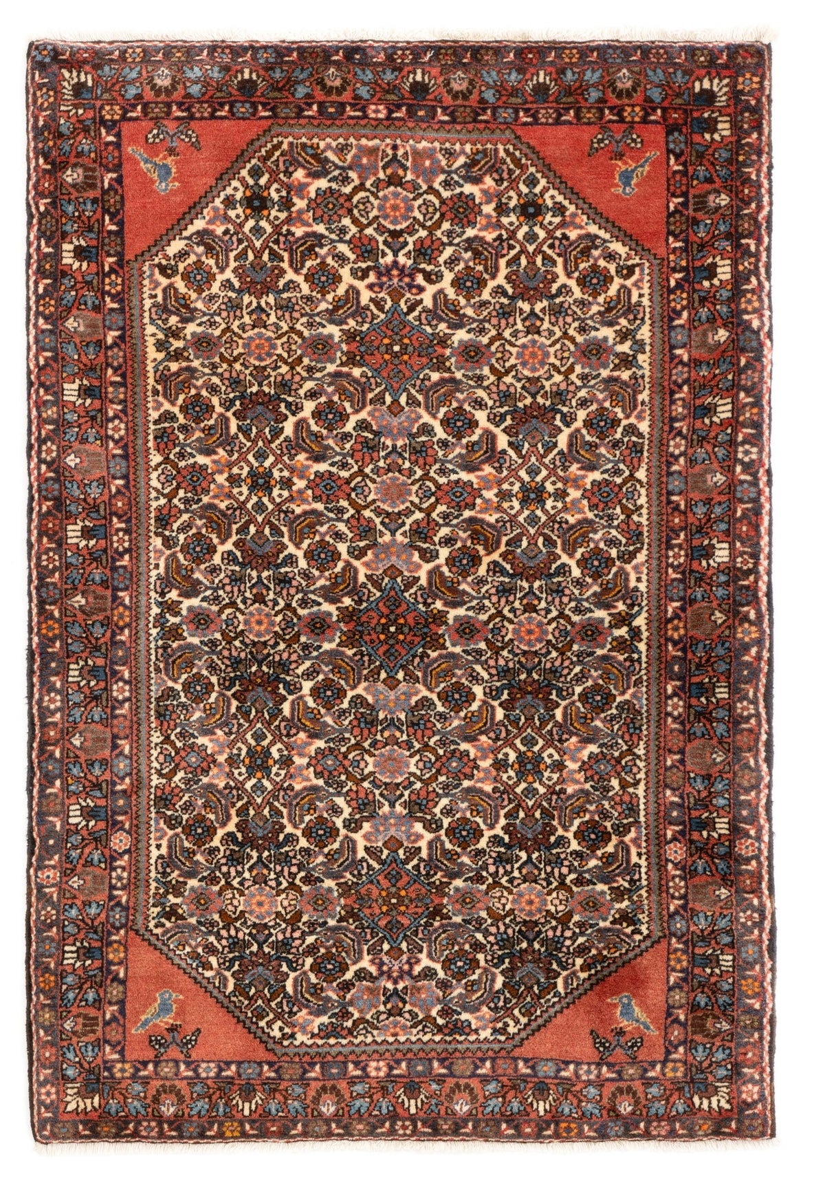 103x146 Rudbar
