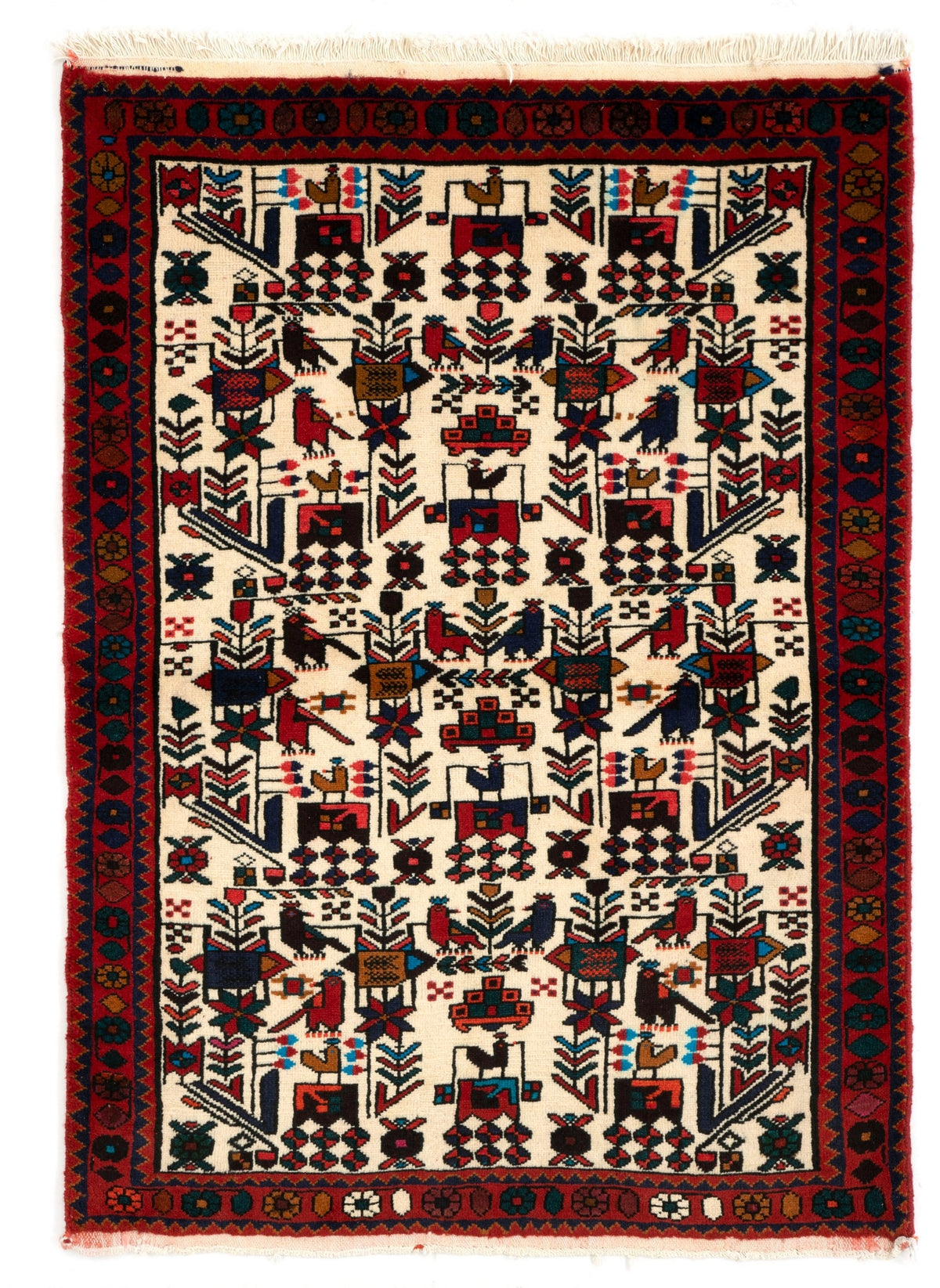 151 x 103 Afshar