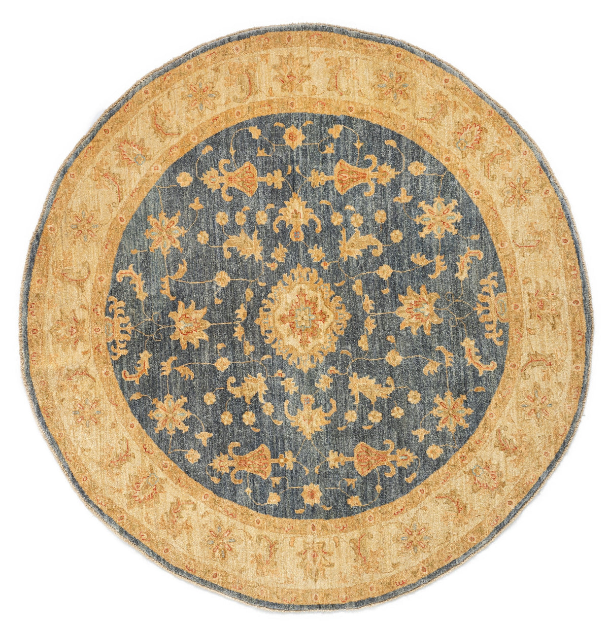 196x204 Kaizar