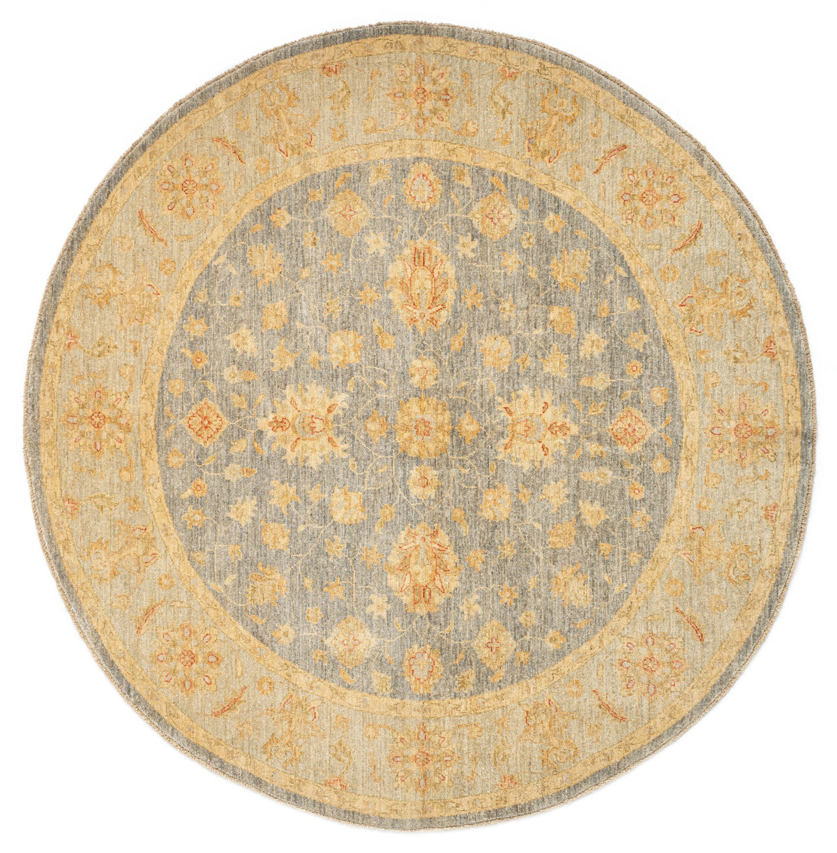 201 x 197 Kaizar
