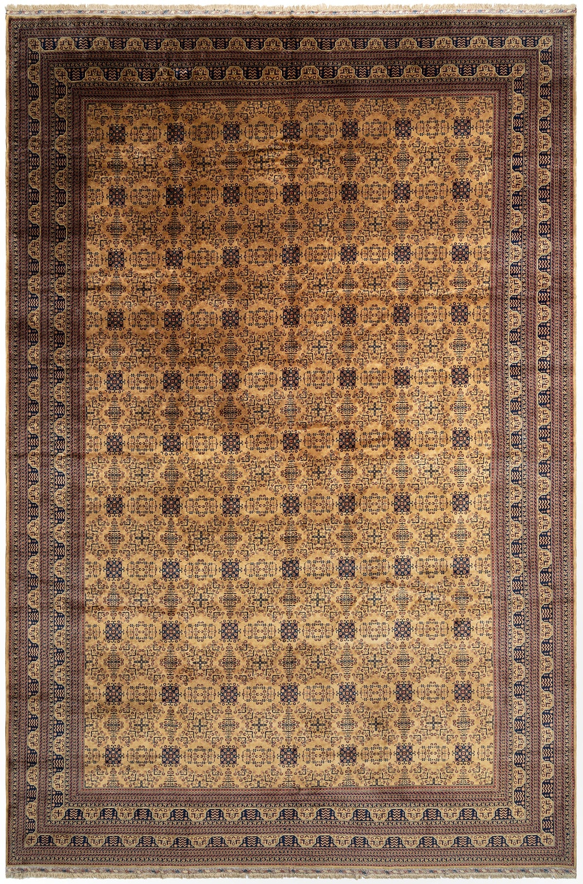 595x403 Afghan