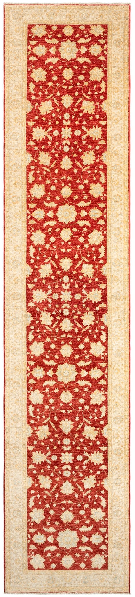 493x105 Kaizar