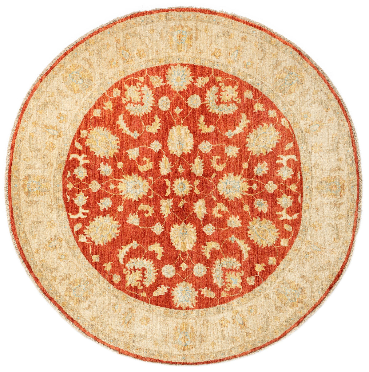 152 x 150 Kaizar