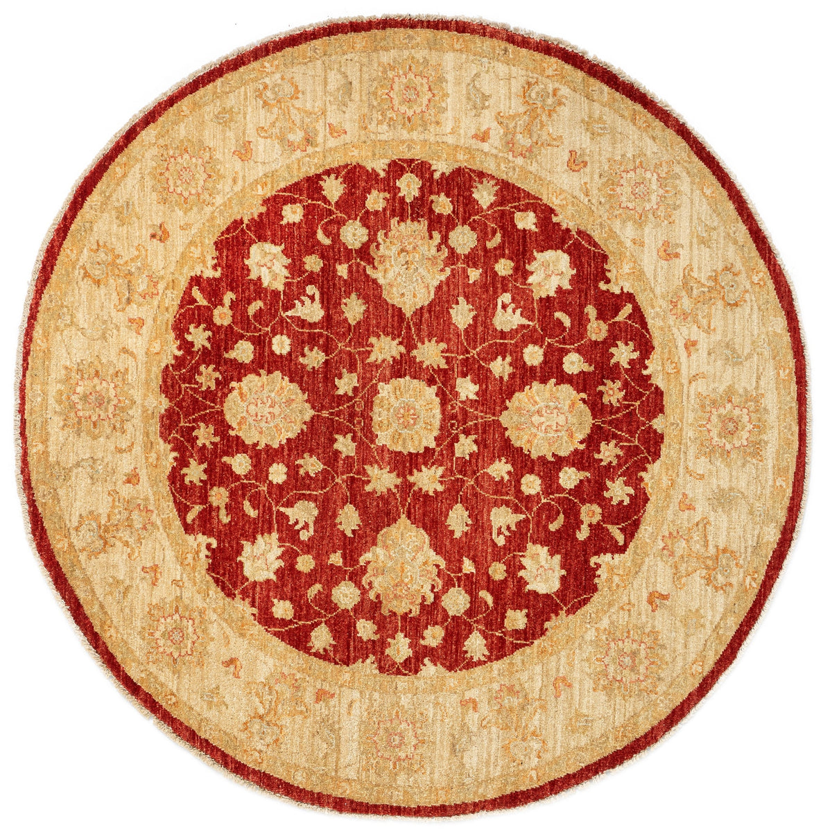 148x150 Kaizar