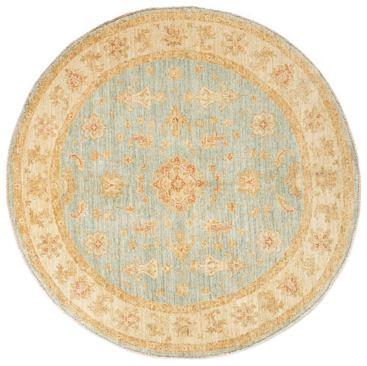 147 x 145 Kaizar