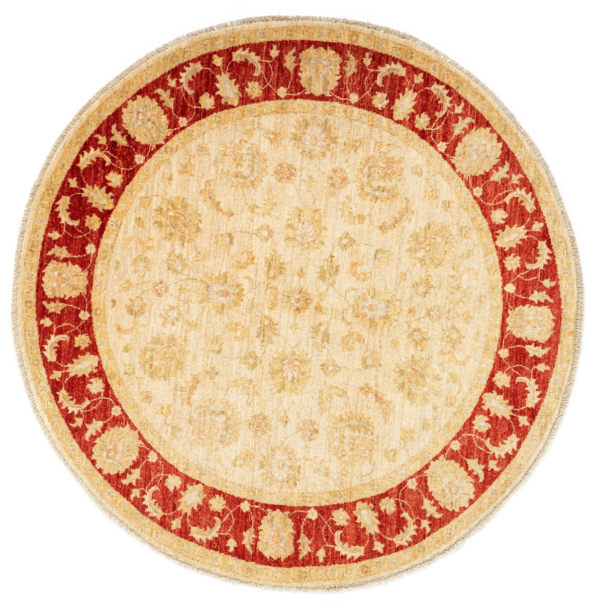 148 x 146 Kaizar