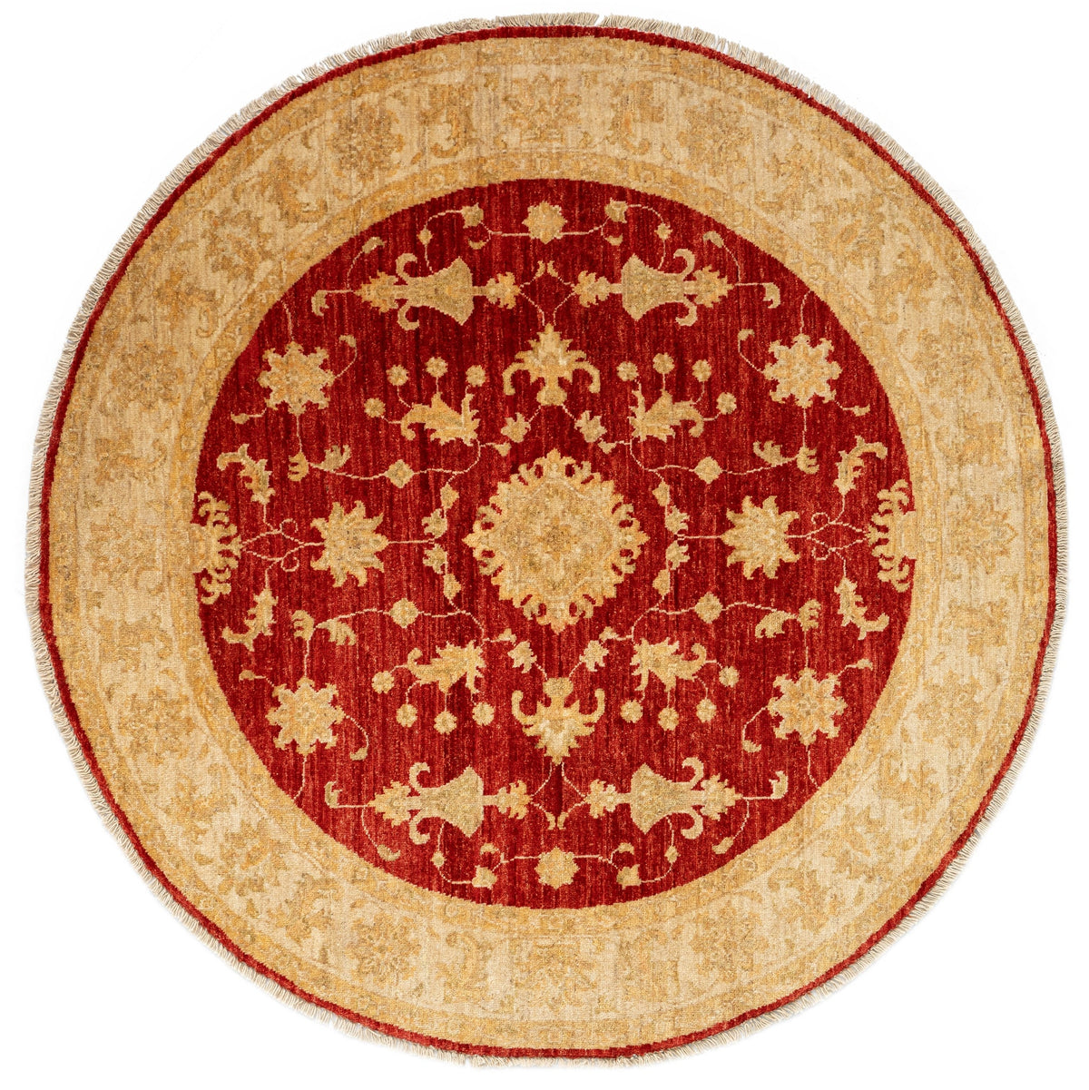 147x150 Kaizar