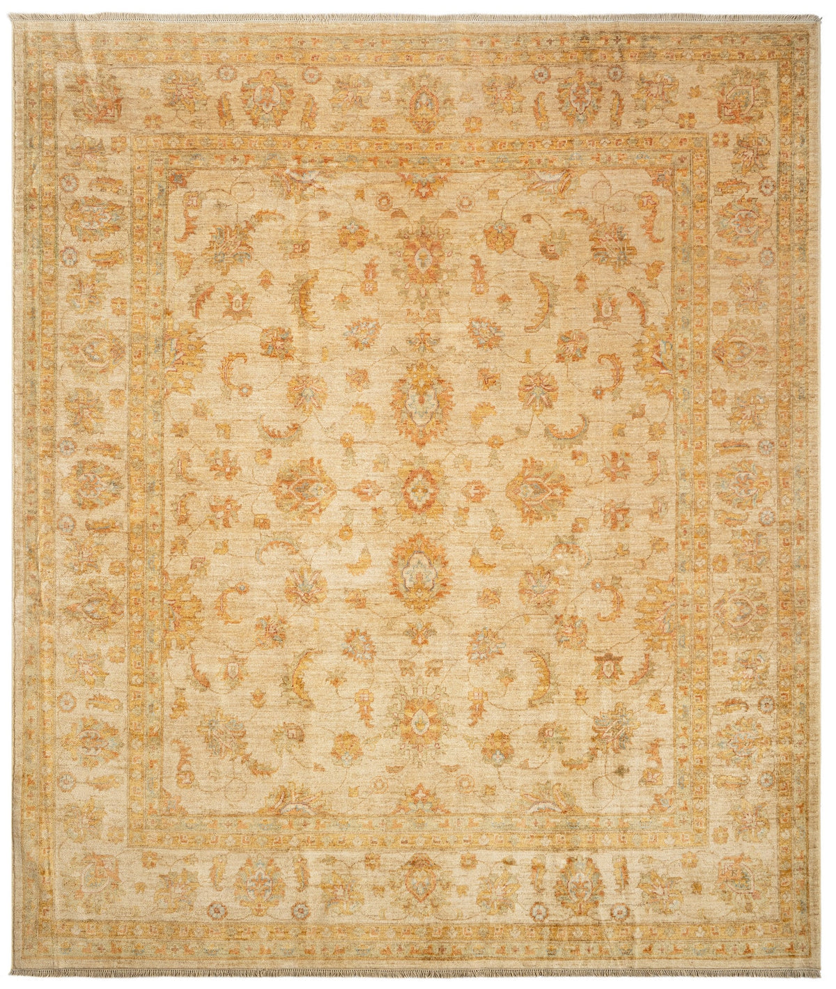 299 x 256 Kaizar