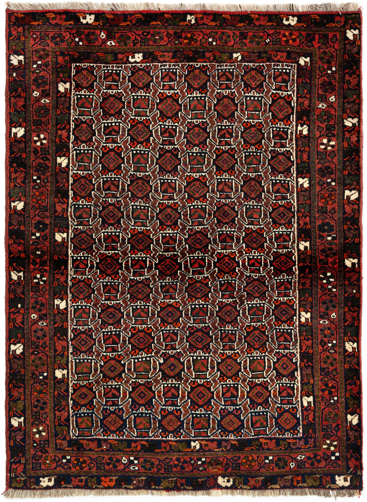160 x 116 Shiraz