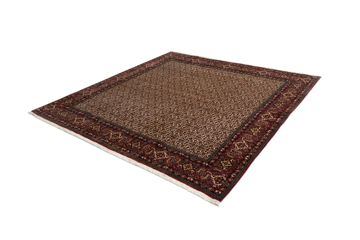 259 x 256 Bidjar
