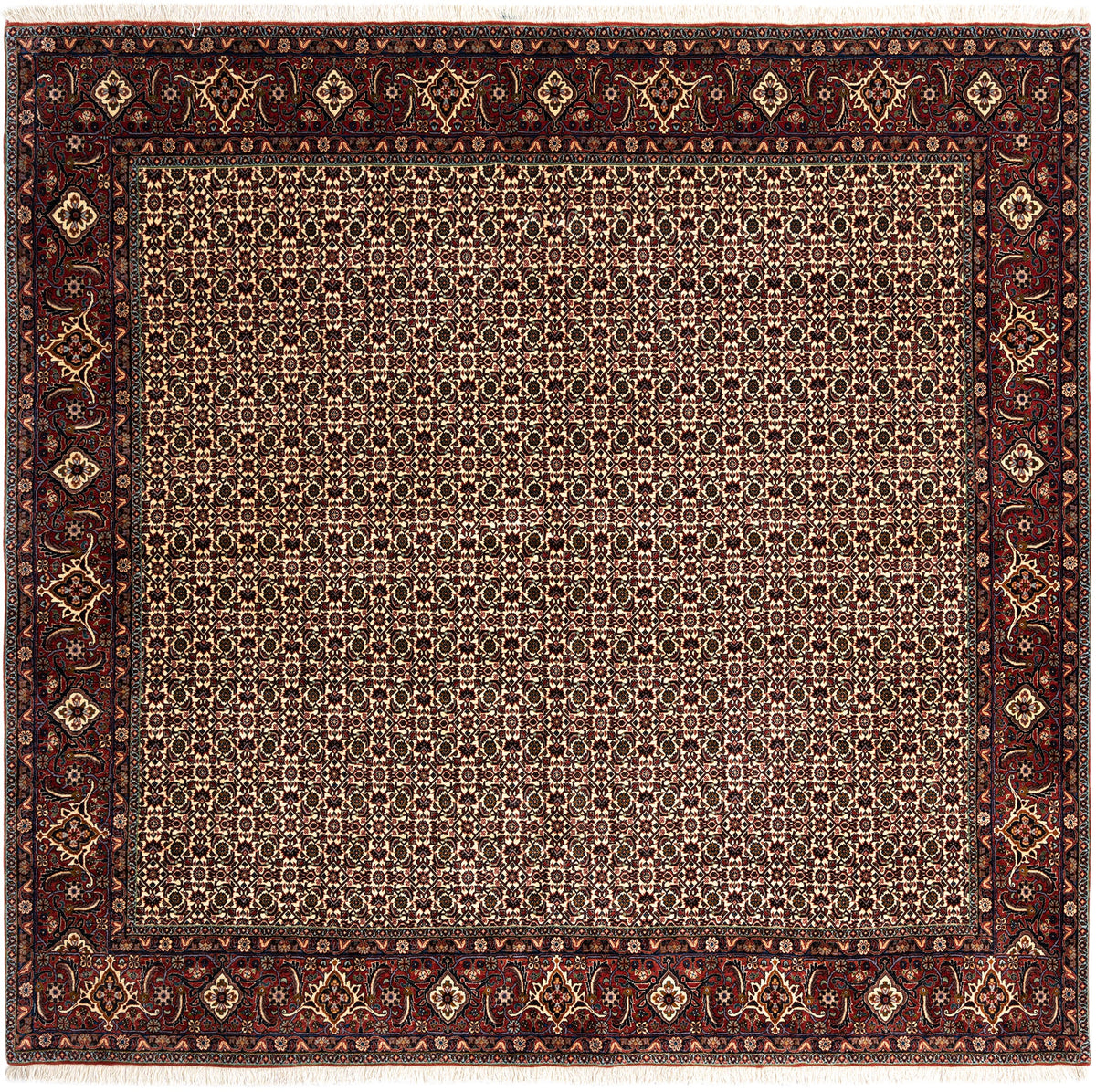 261x250 Bidjar