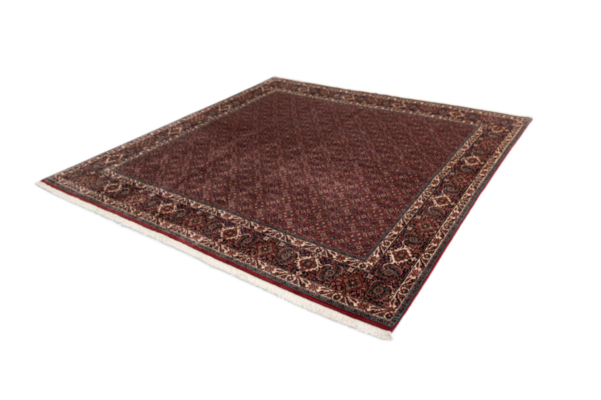 251 x 250 Bidjar