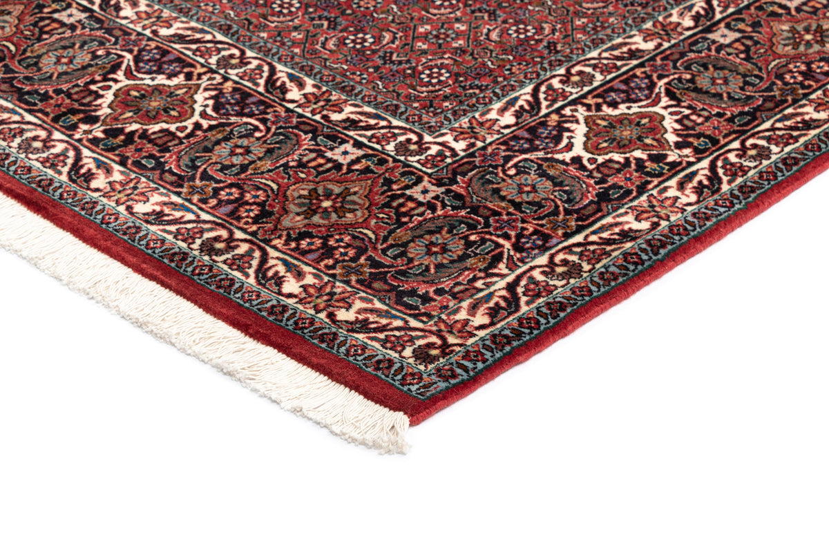 251 x 250 Bidjar