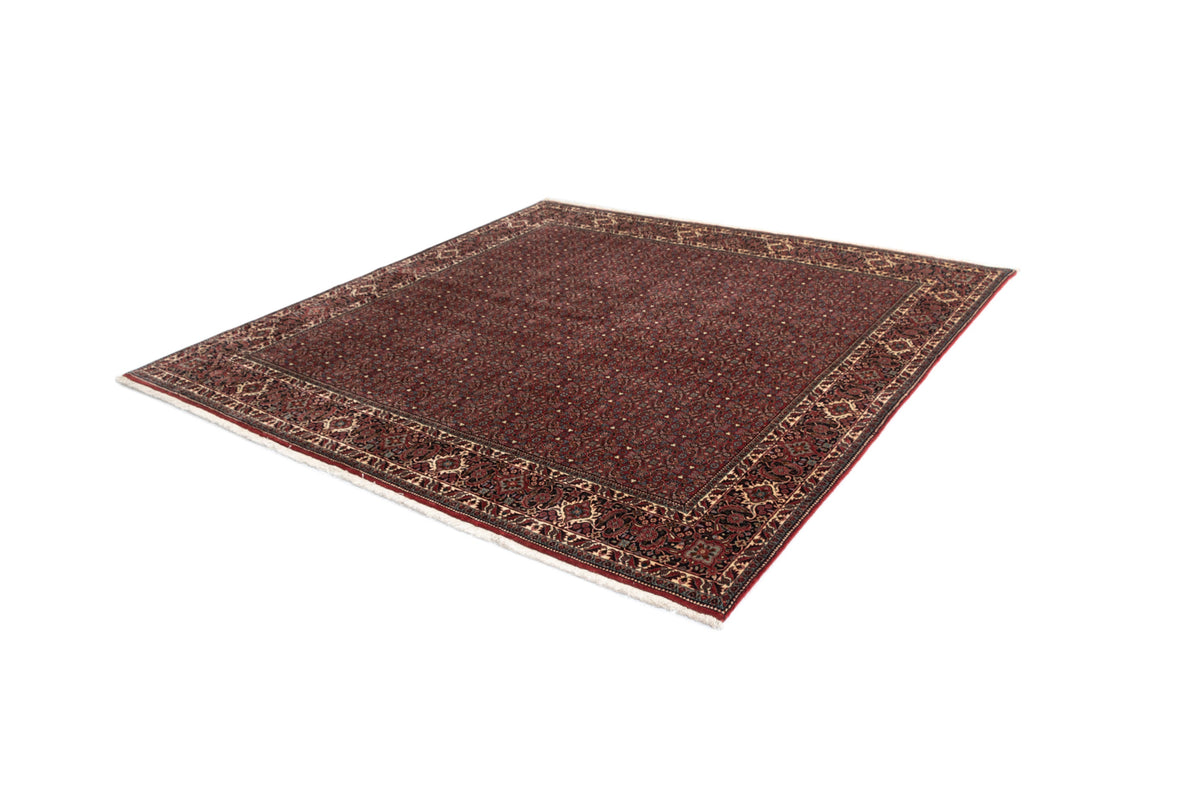 255 x 254 Bidjar