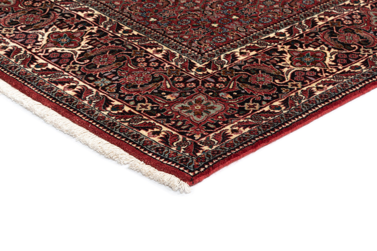 255 x 254 Bidjar