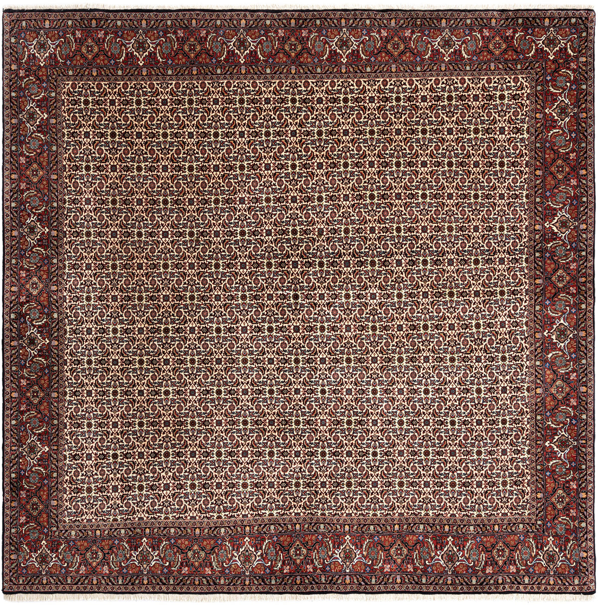 245 x 251 Bidjar