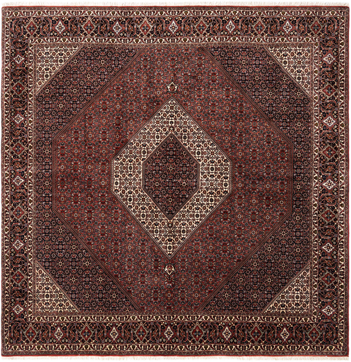 256x253 Bidjar