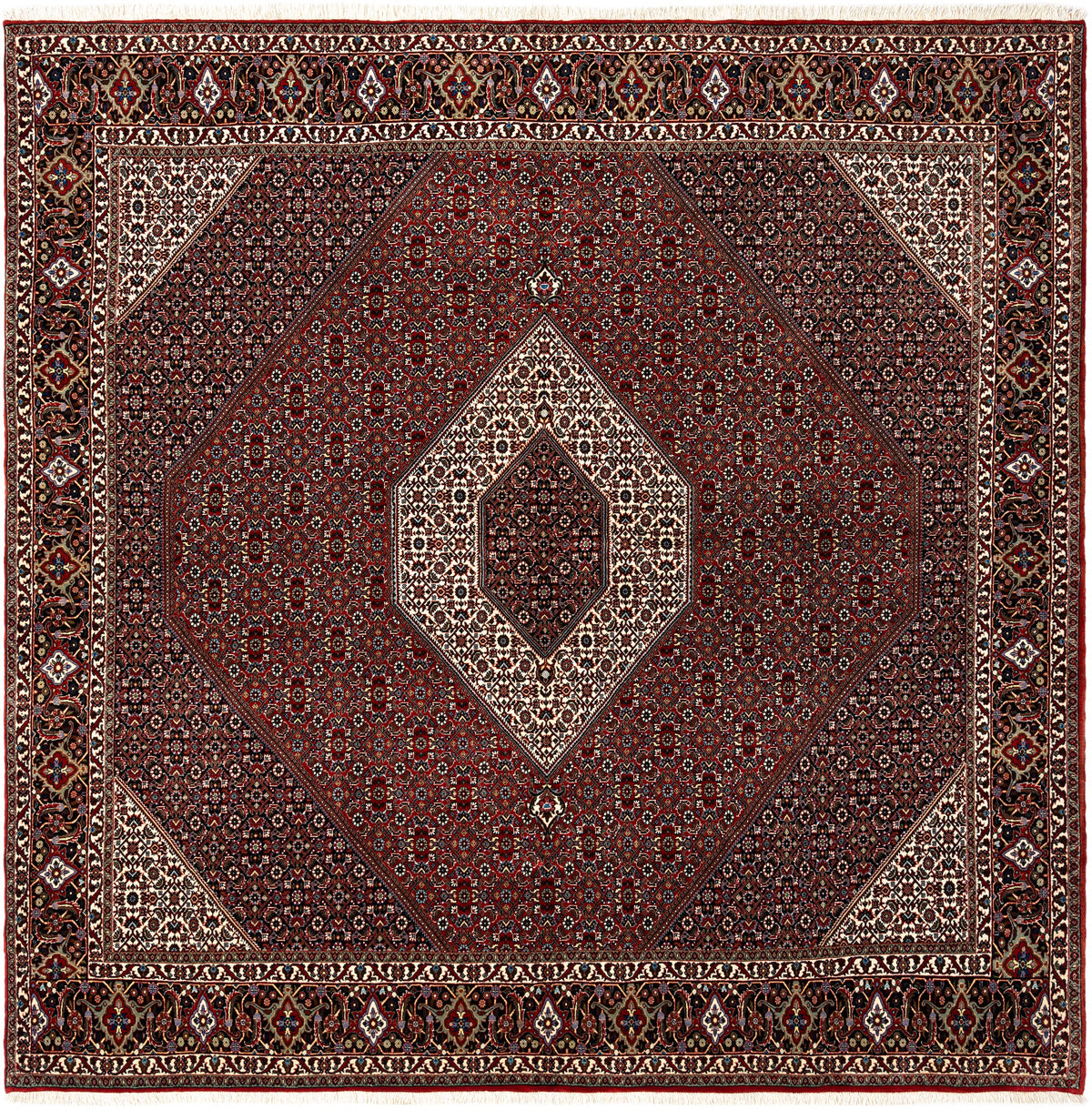 257 x 257 Bidjar