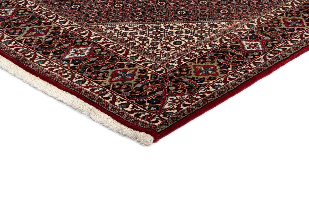 257 x 257 Bidjar