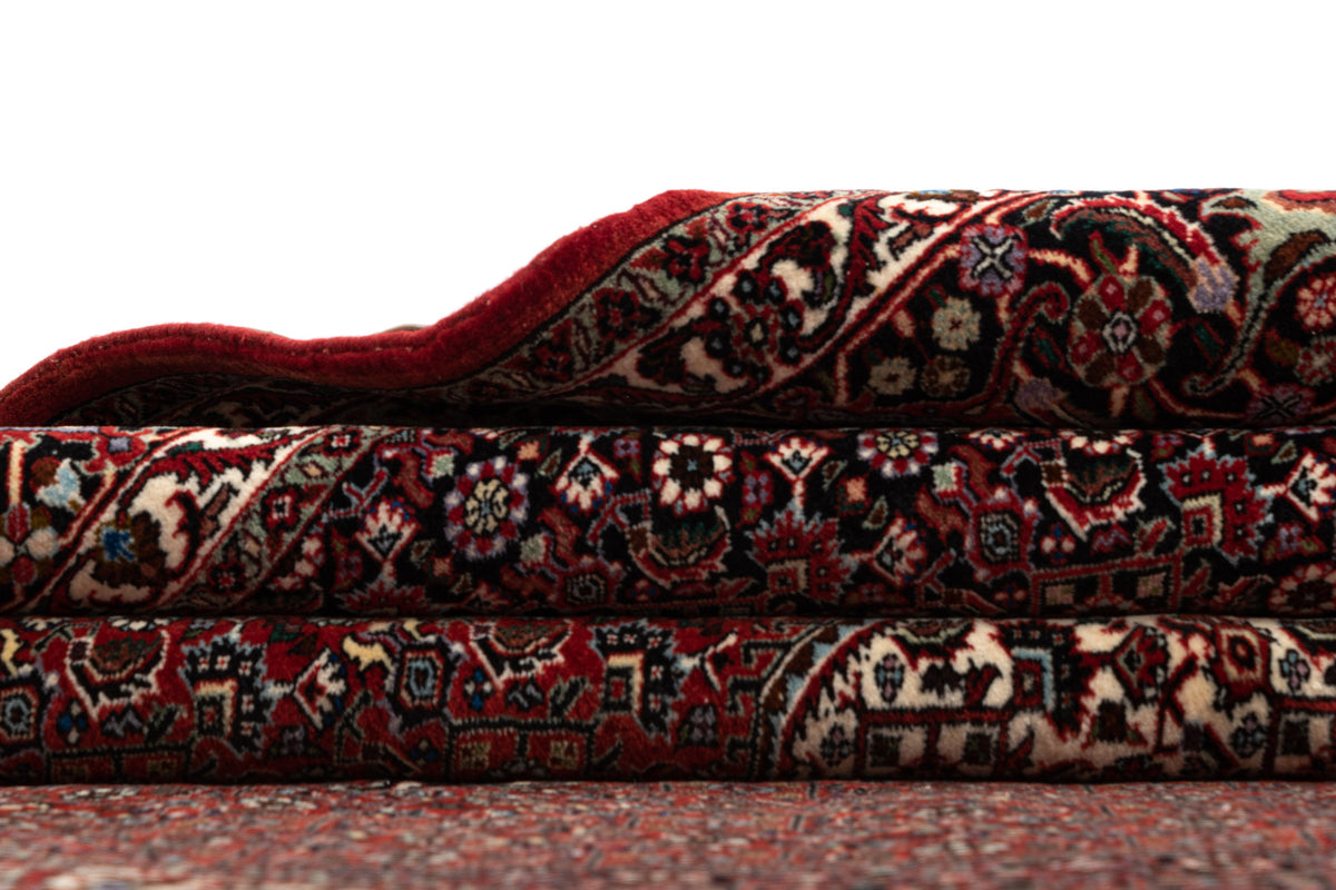 257 x 257 Bidjar