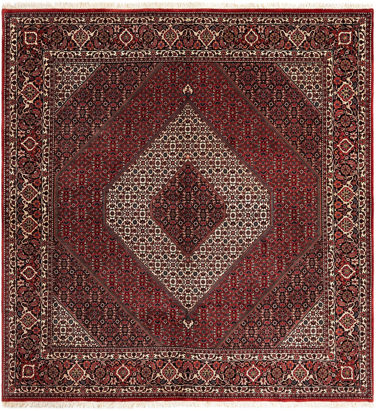 265 x 251 Bidjar