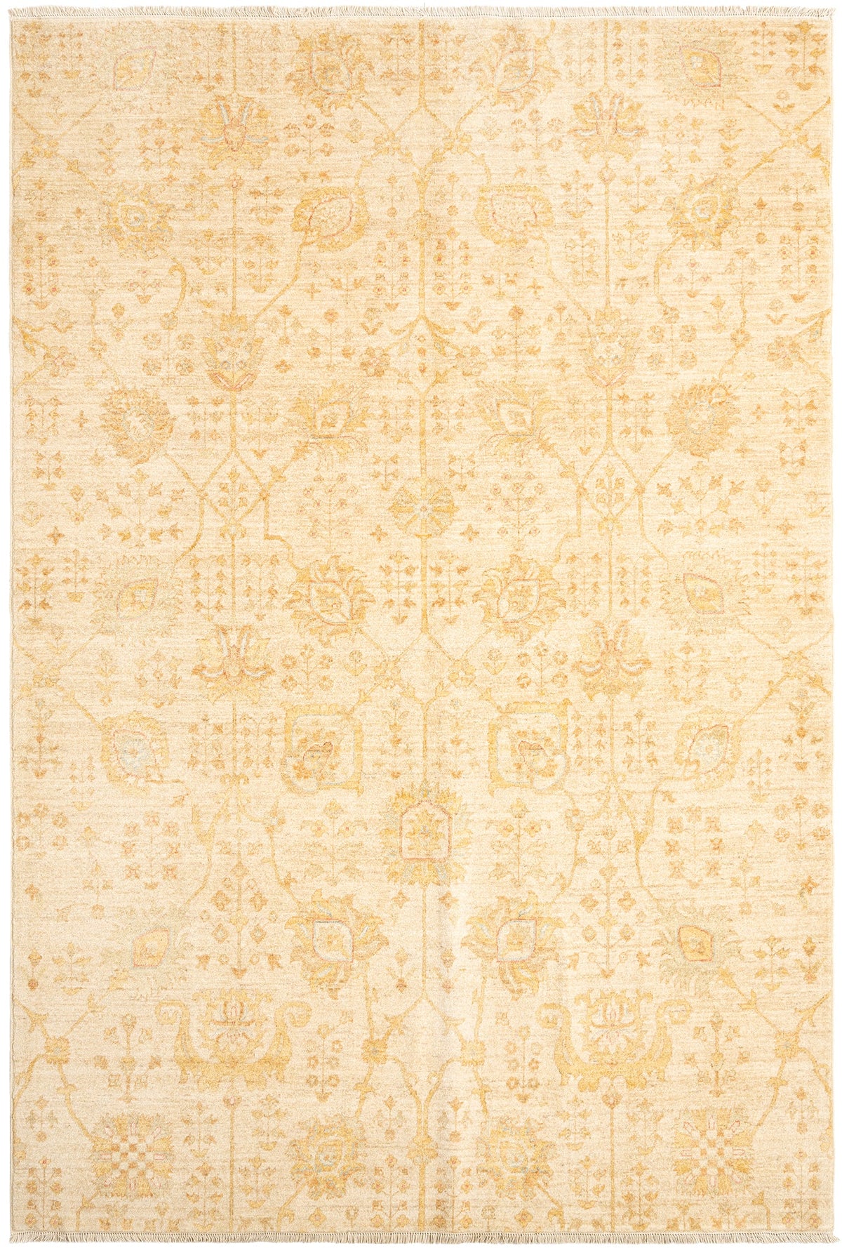298 x 200 Ziegler