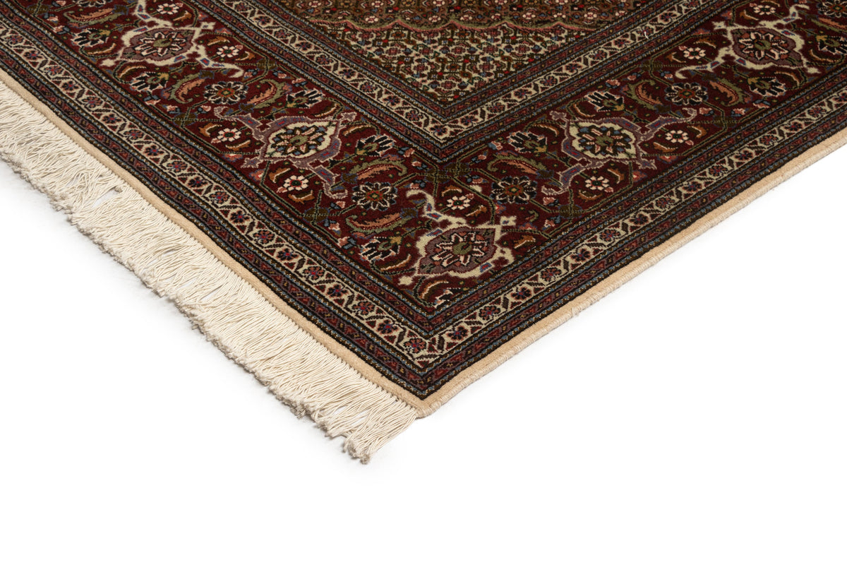 339x253 Tabriz Mahi