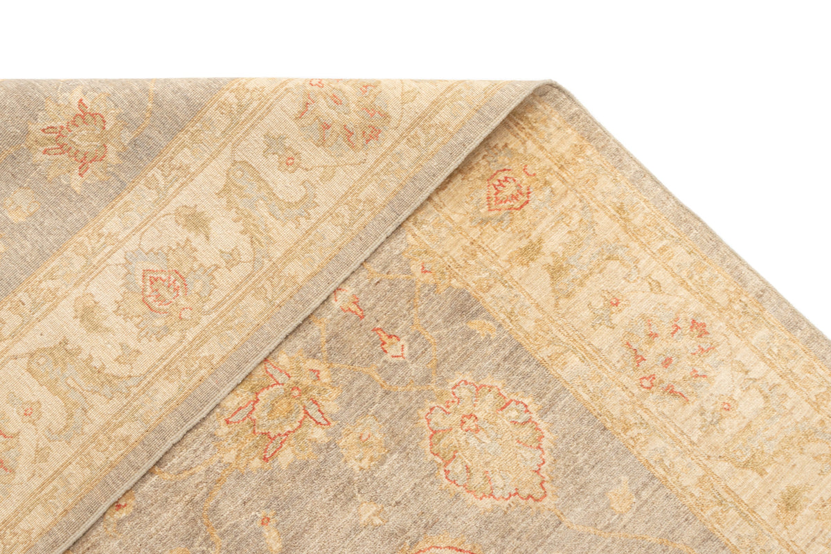 244 x 203 Ziegler