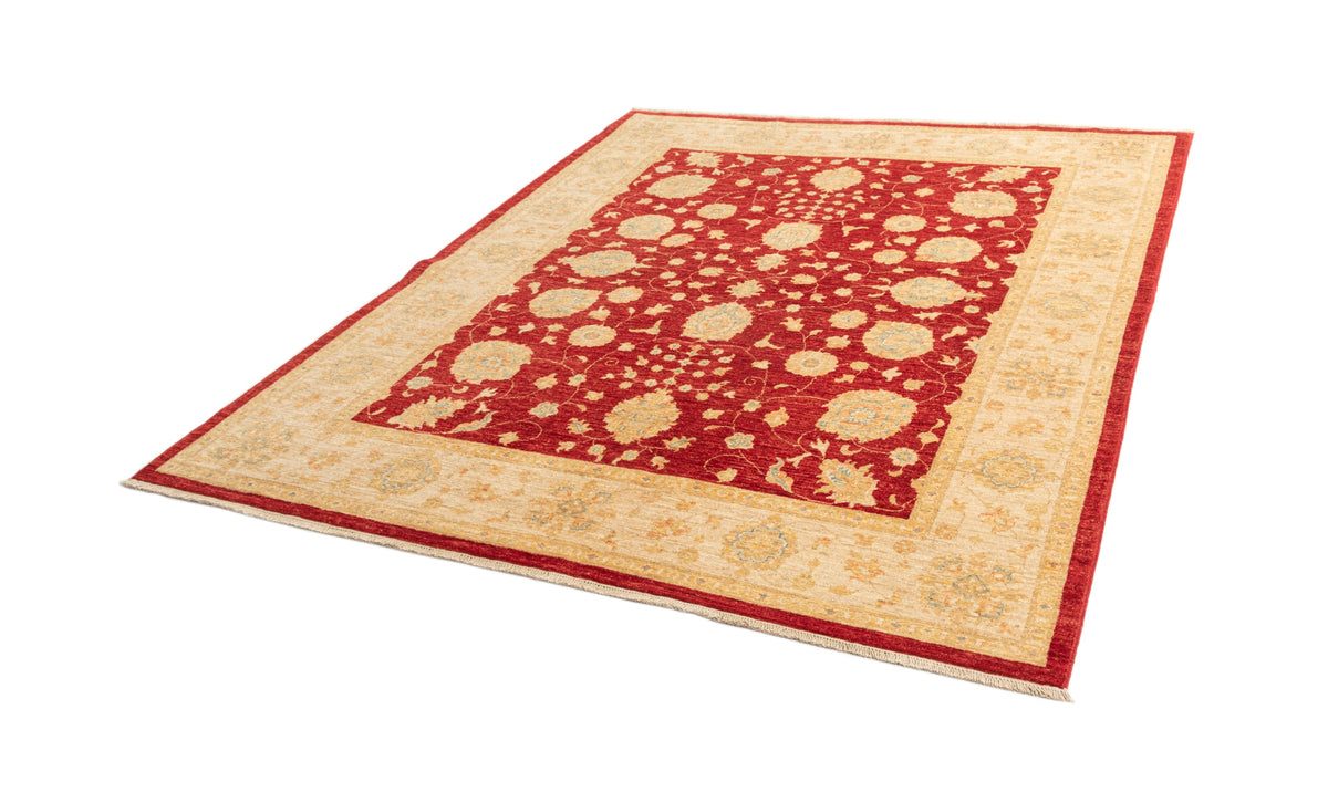 247 x 200 Ziegler