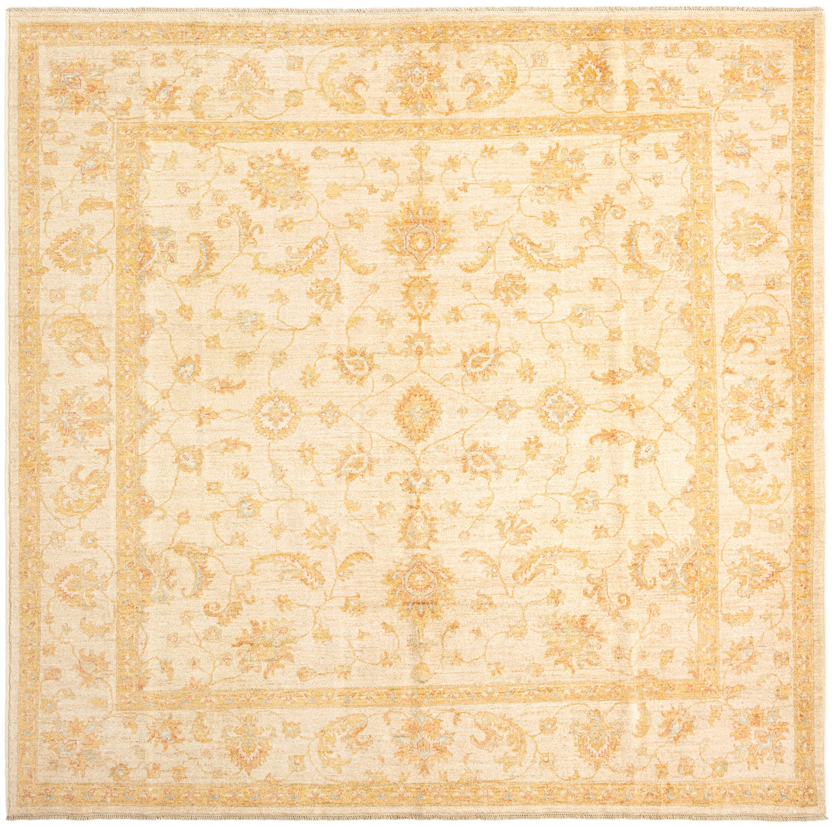 250x255 Ziegler