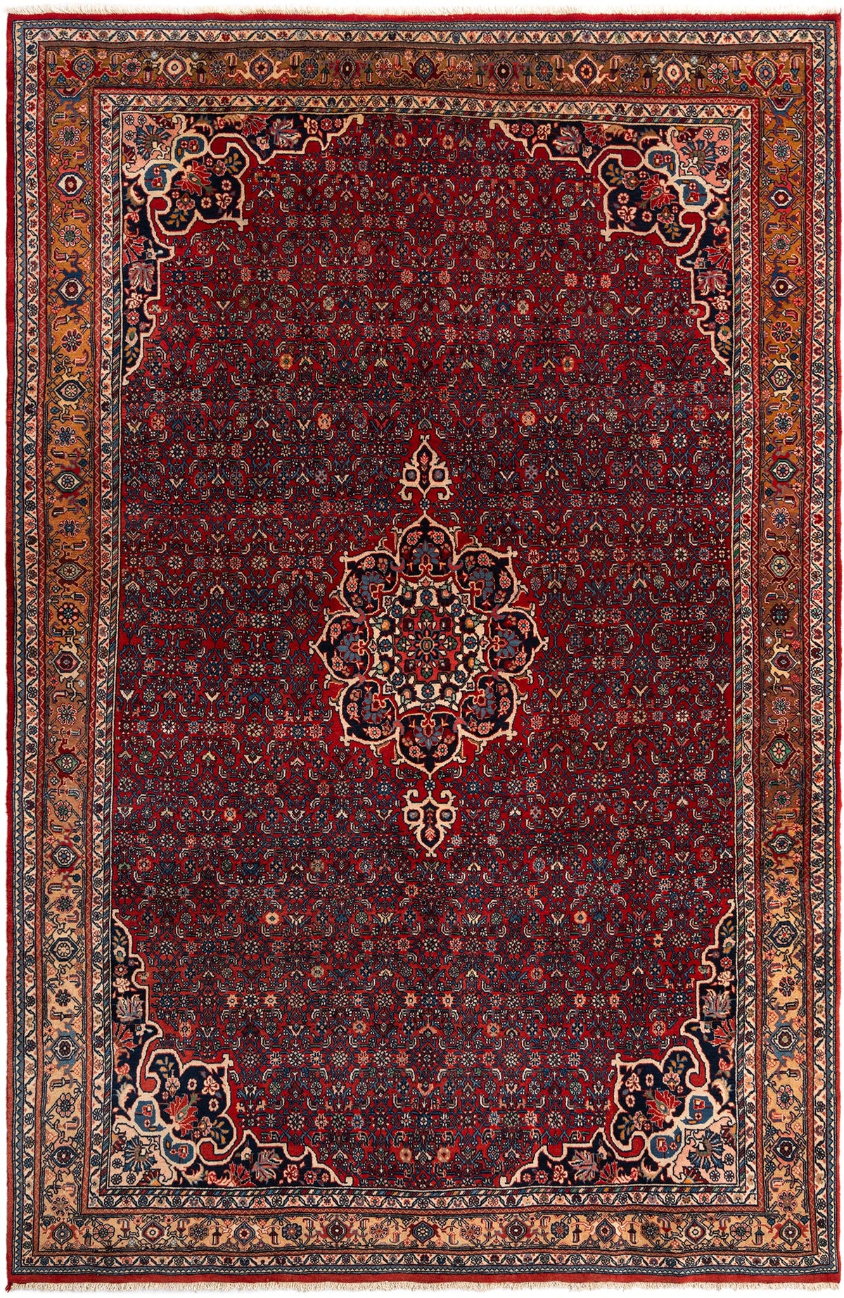 324 x 213 Saruk