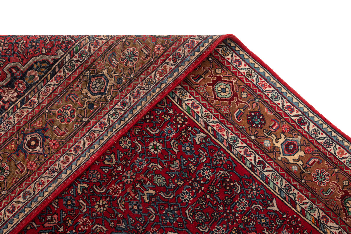 324 x 213 Saruk
