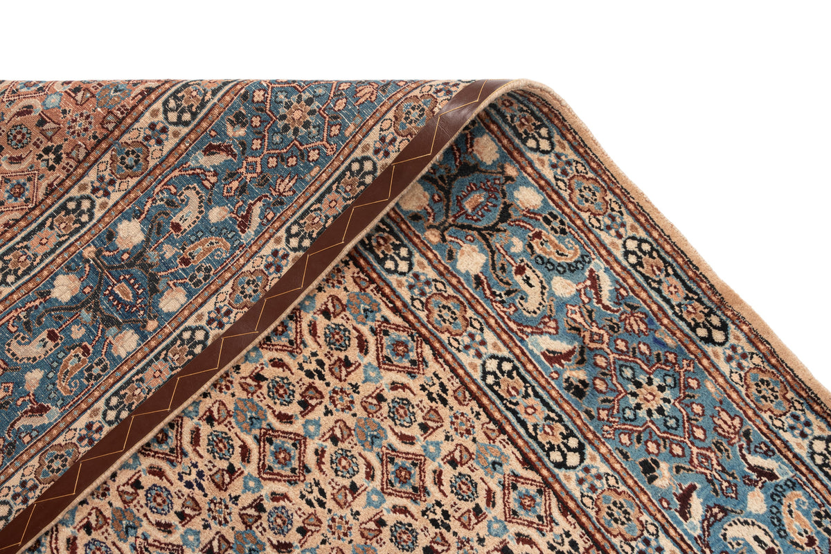 351 x 268 Kashmar