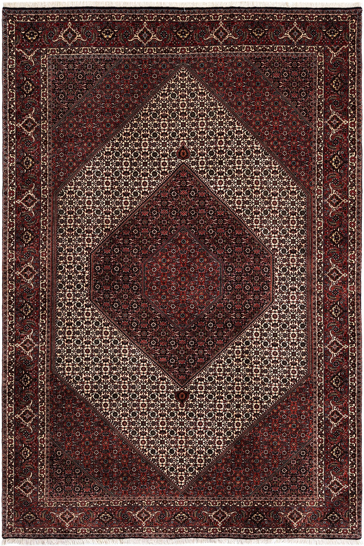 306 x 206 Bidjar