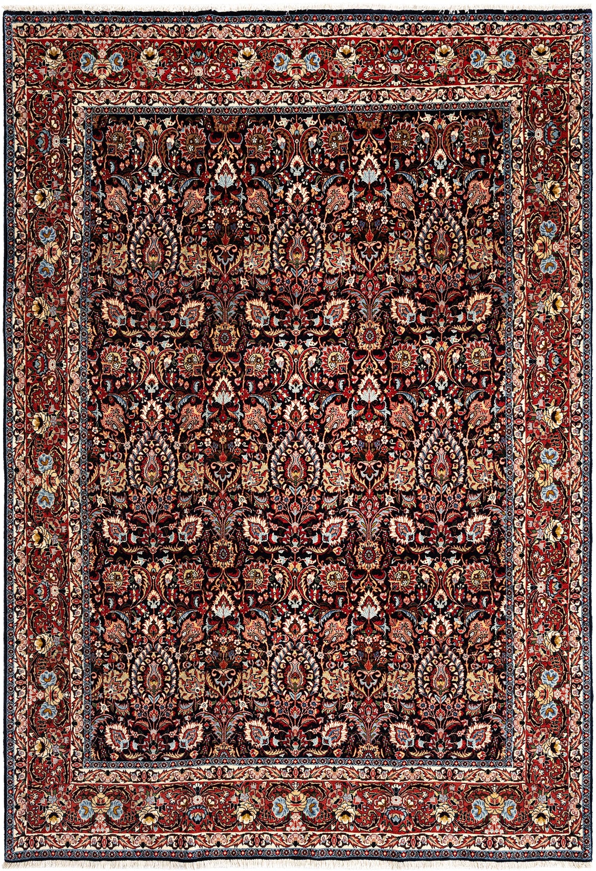 290 x 203 Bidjar