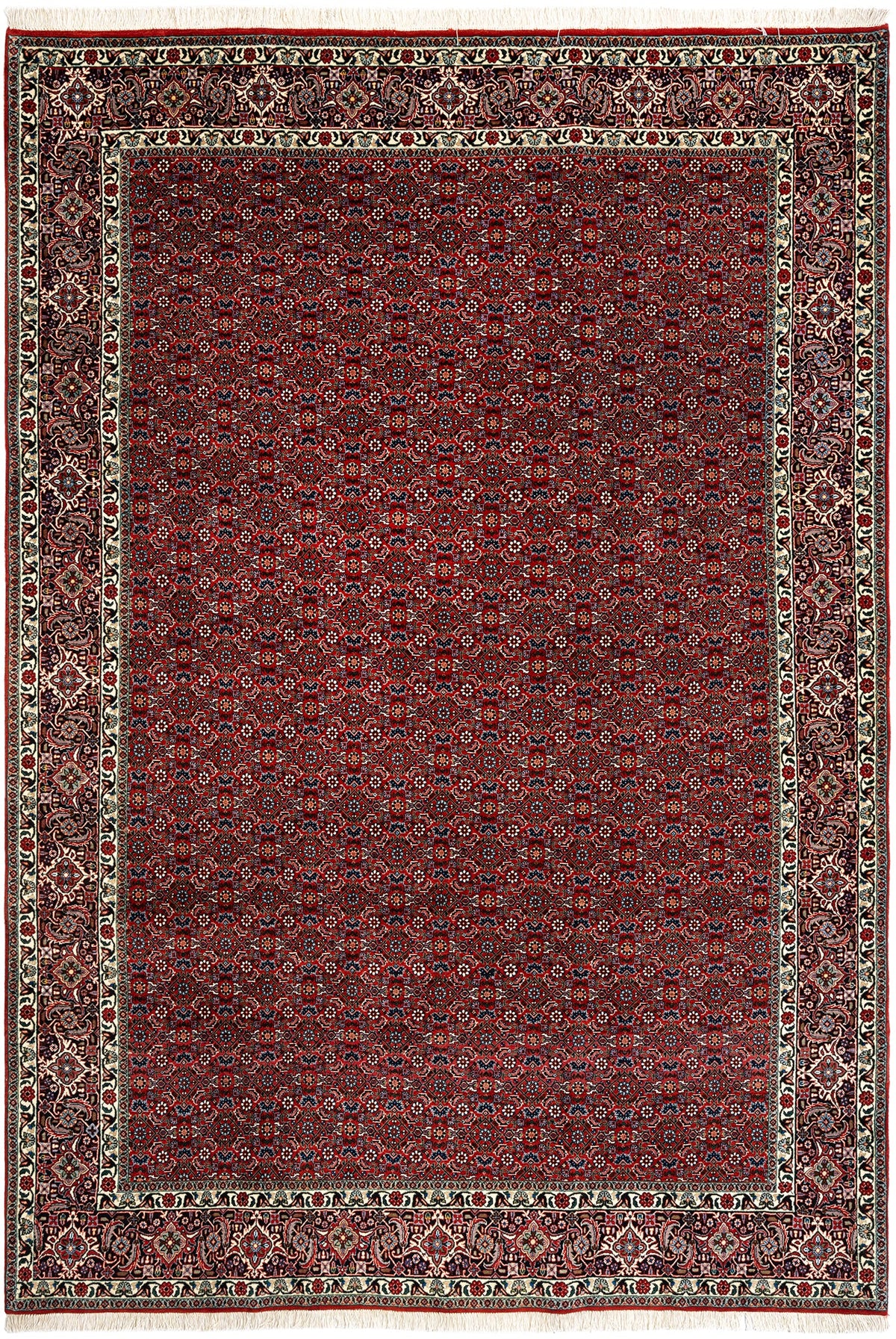 297 x 205 Bidjar