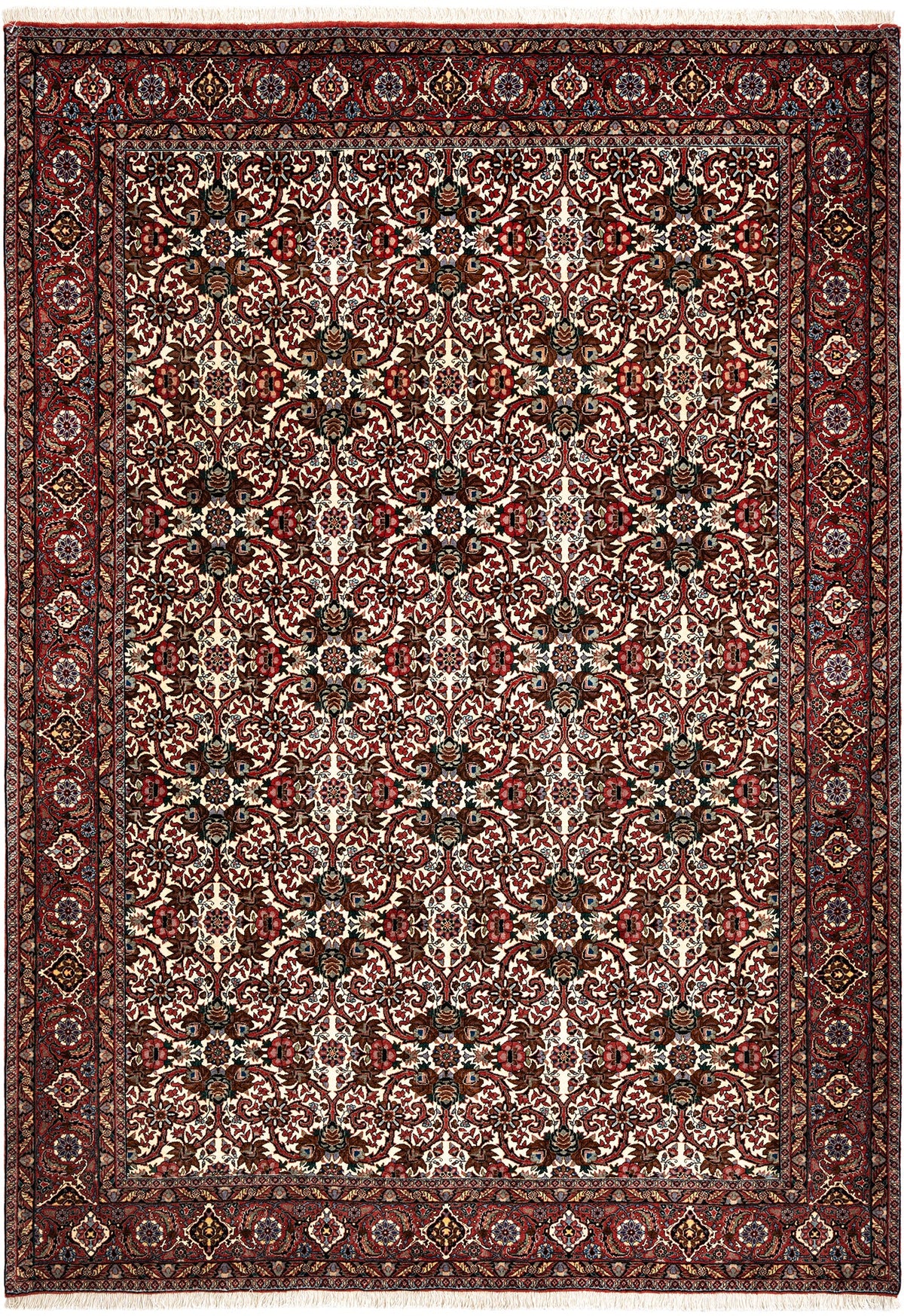286 x 204 Bidjar