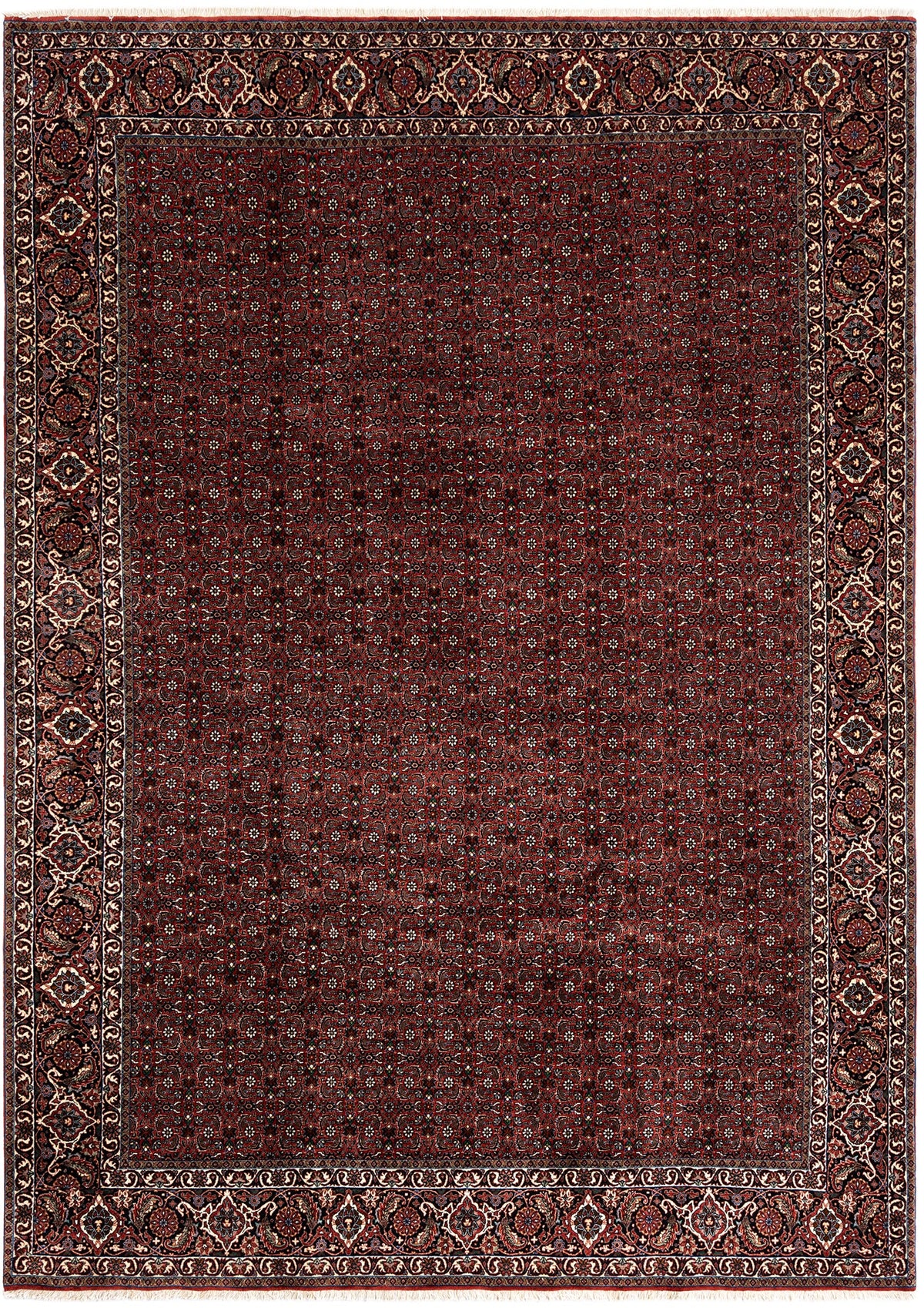 346 x 252 Bidjar