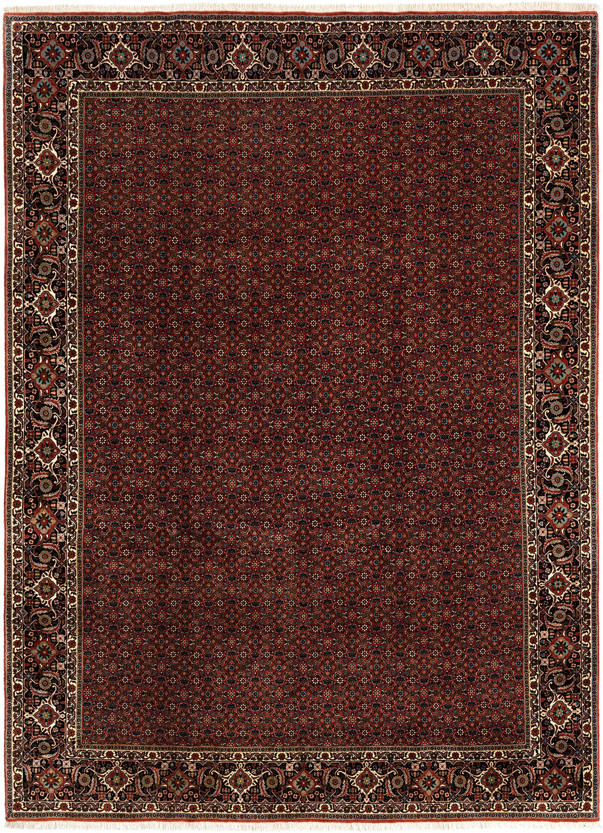 346x250 Bidjar