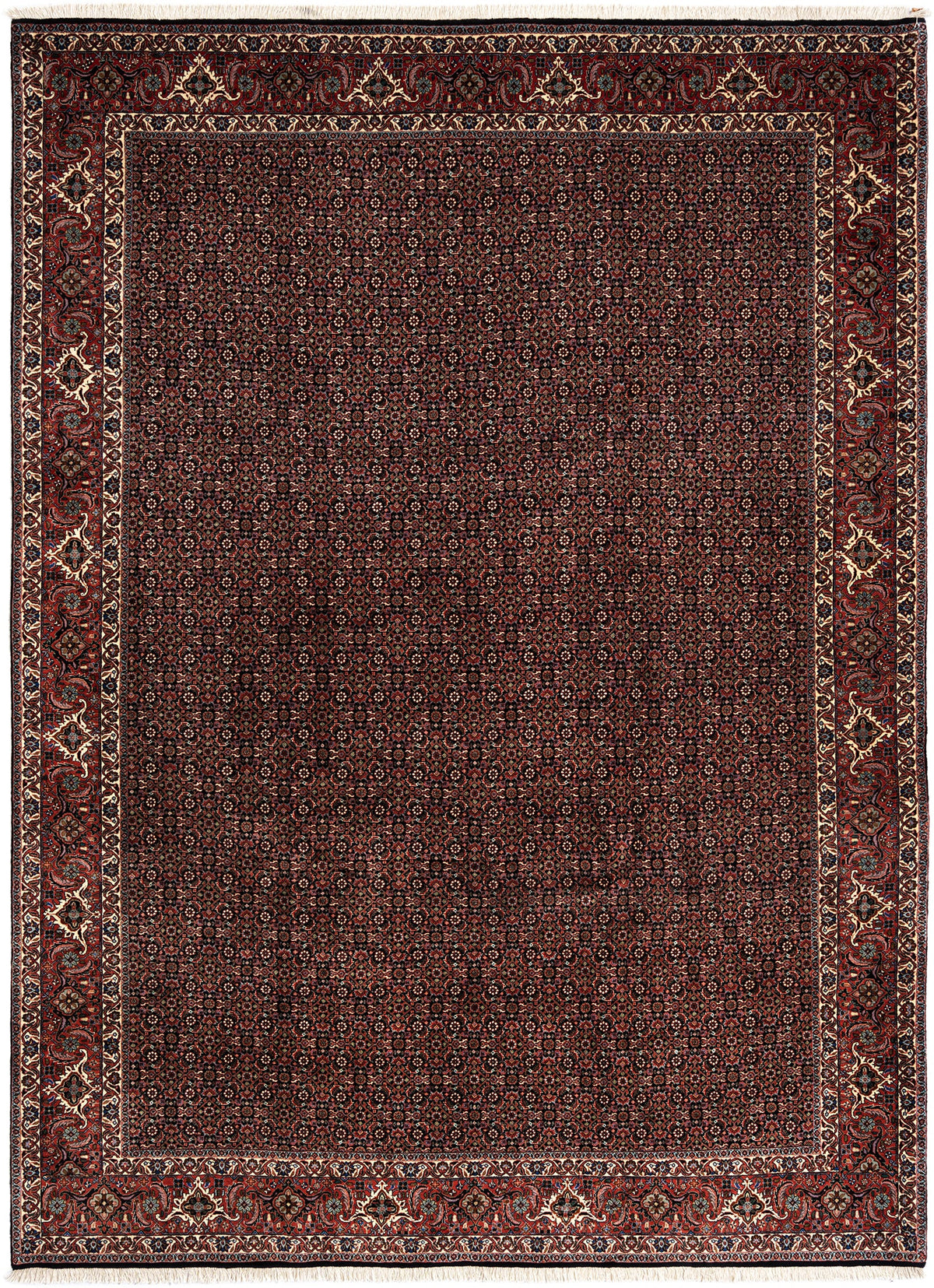 350 x 252 Bidjar