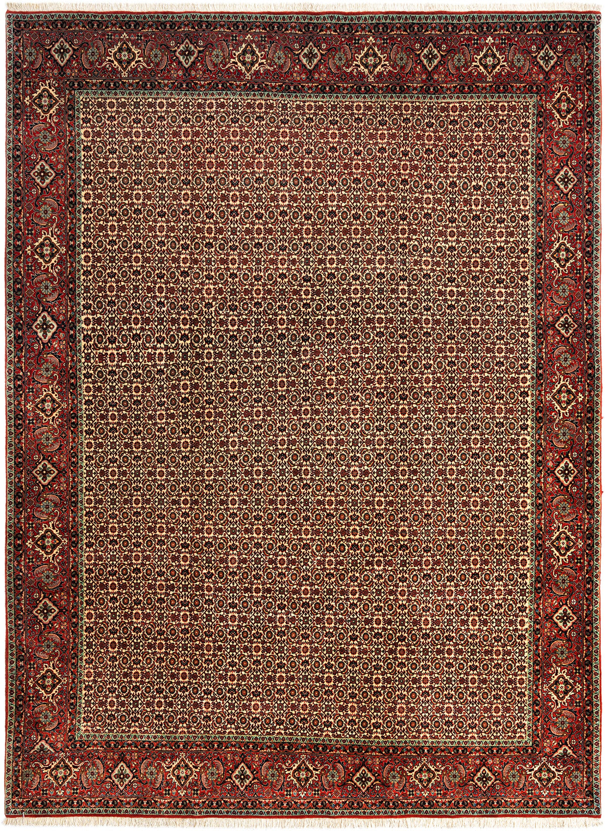 350x258 Bijar