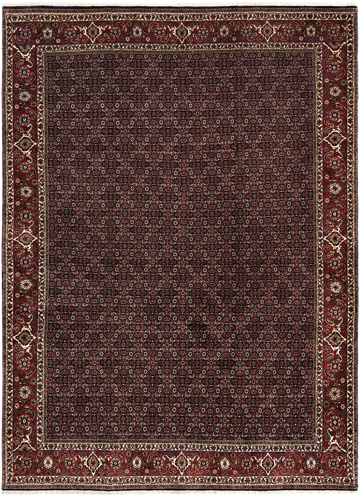 341 x 249 Bidjar