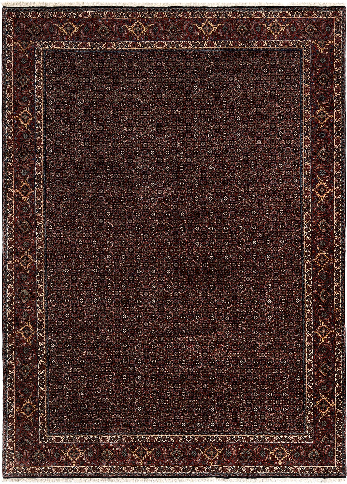 344 x 250 Bidjar