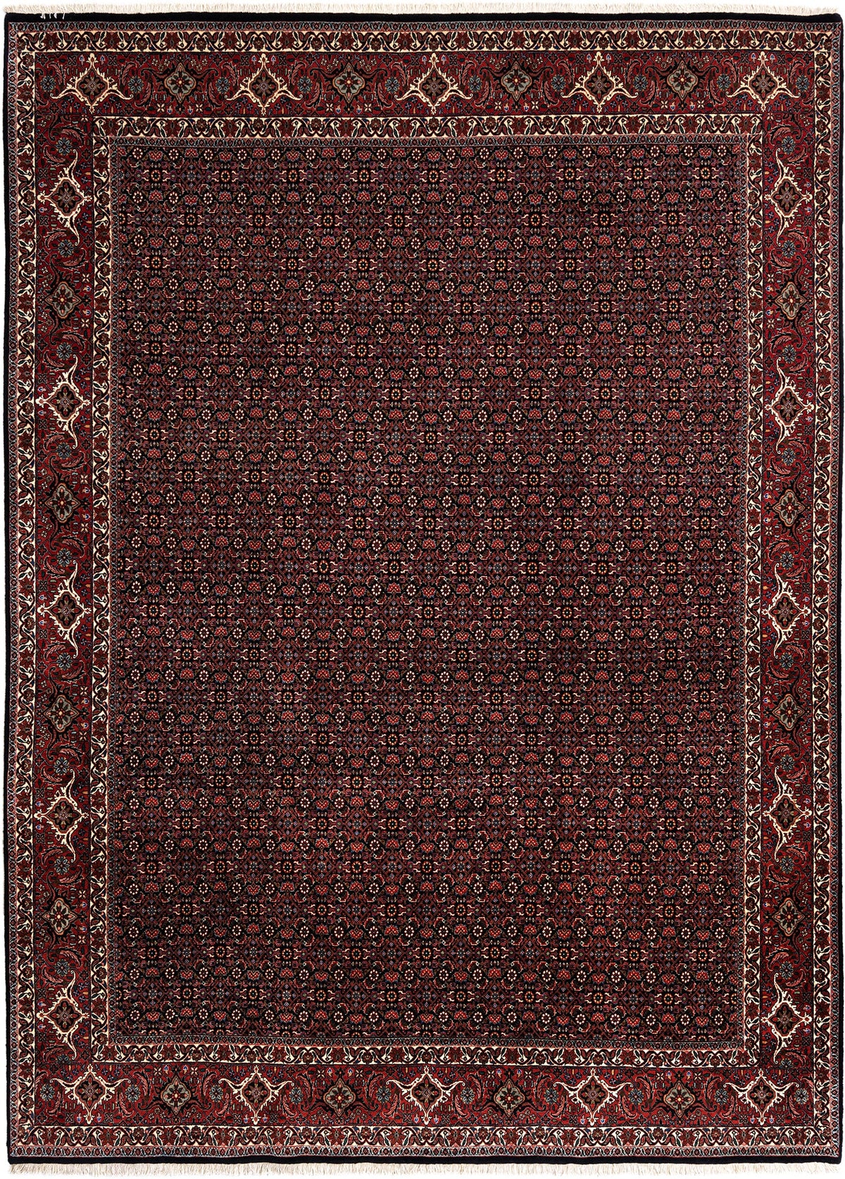 355 x 253 Bidjar