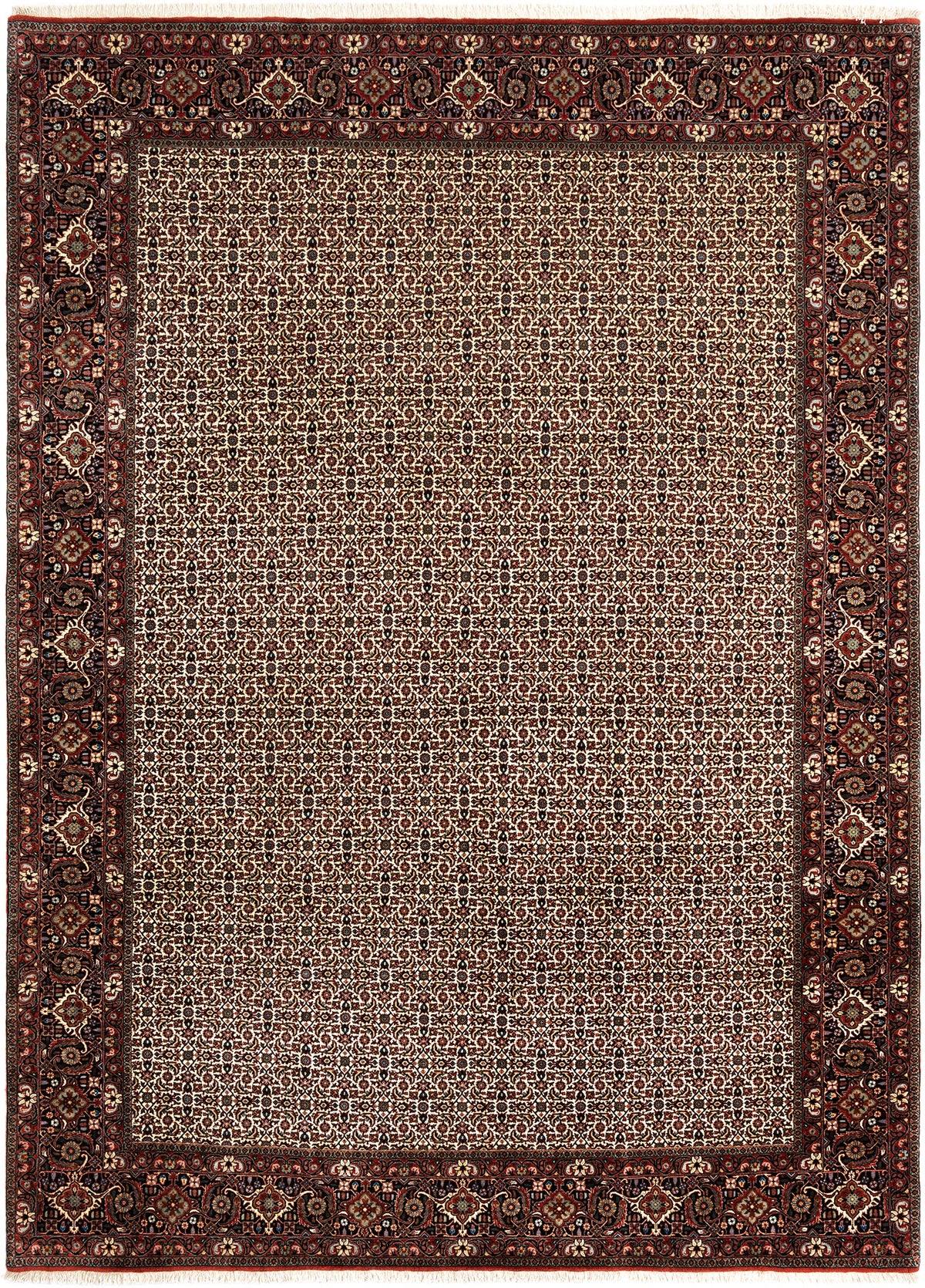 352 x 255 Bidjar