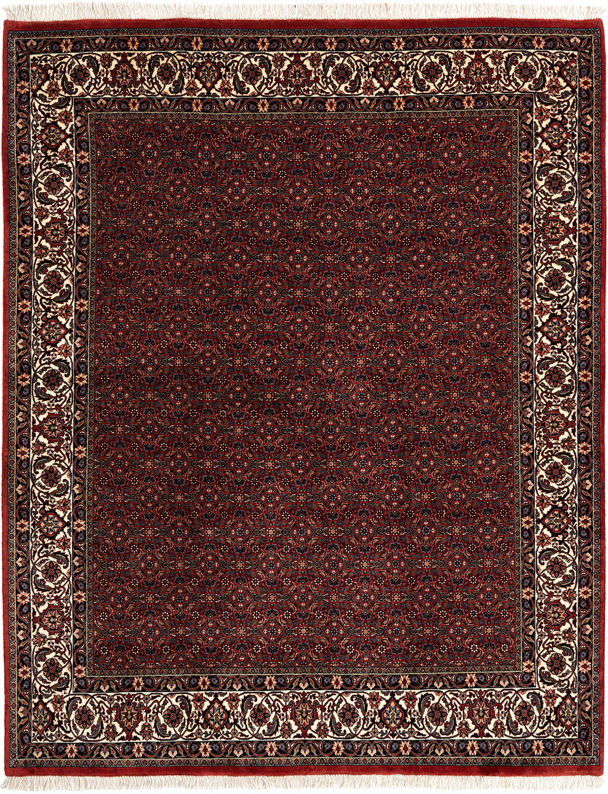 253 x 202 Bidjar