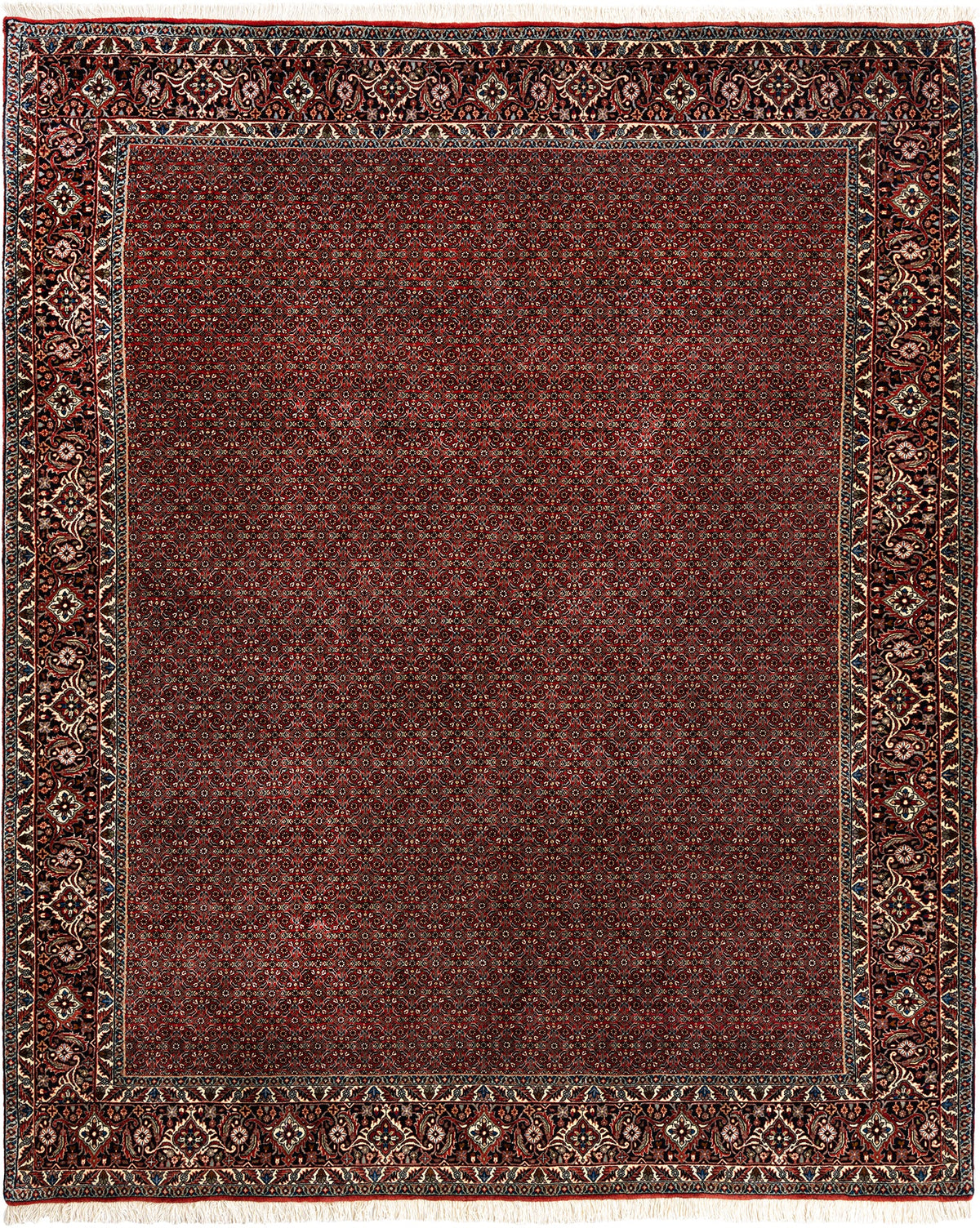 245x200 Bidjar