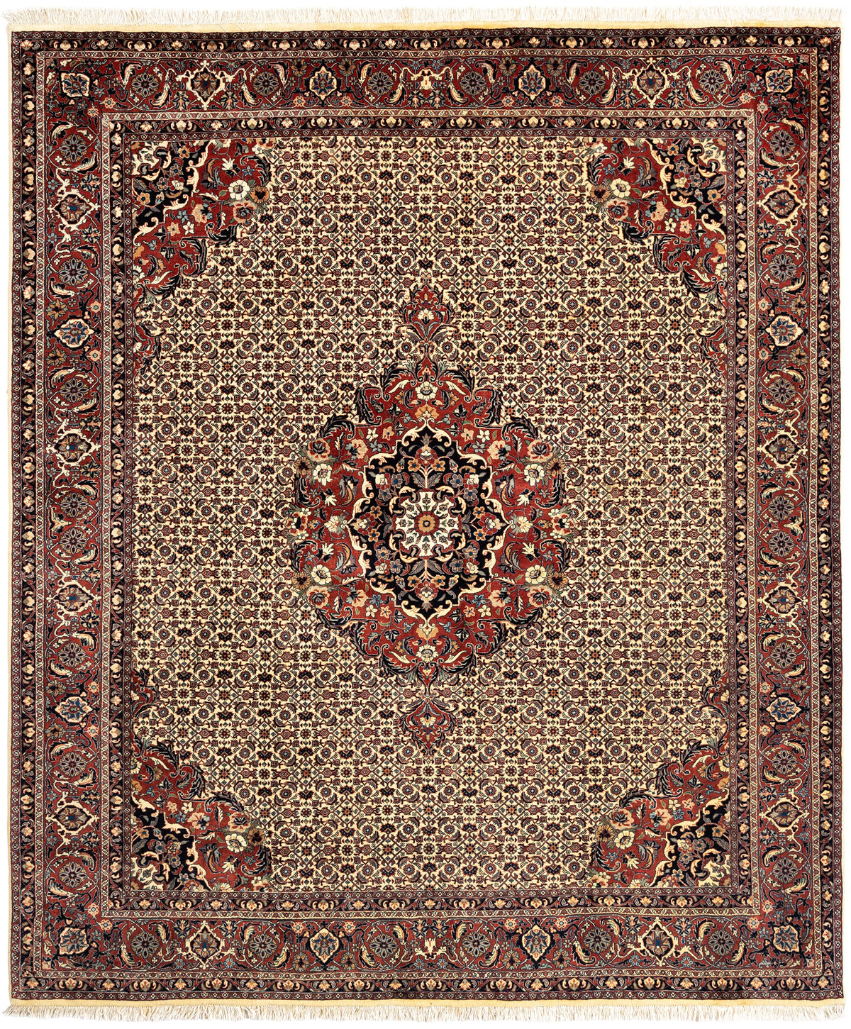 240 x 204 Bidjar