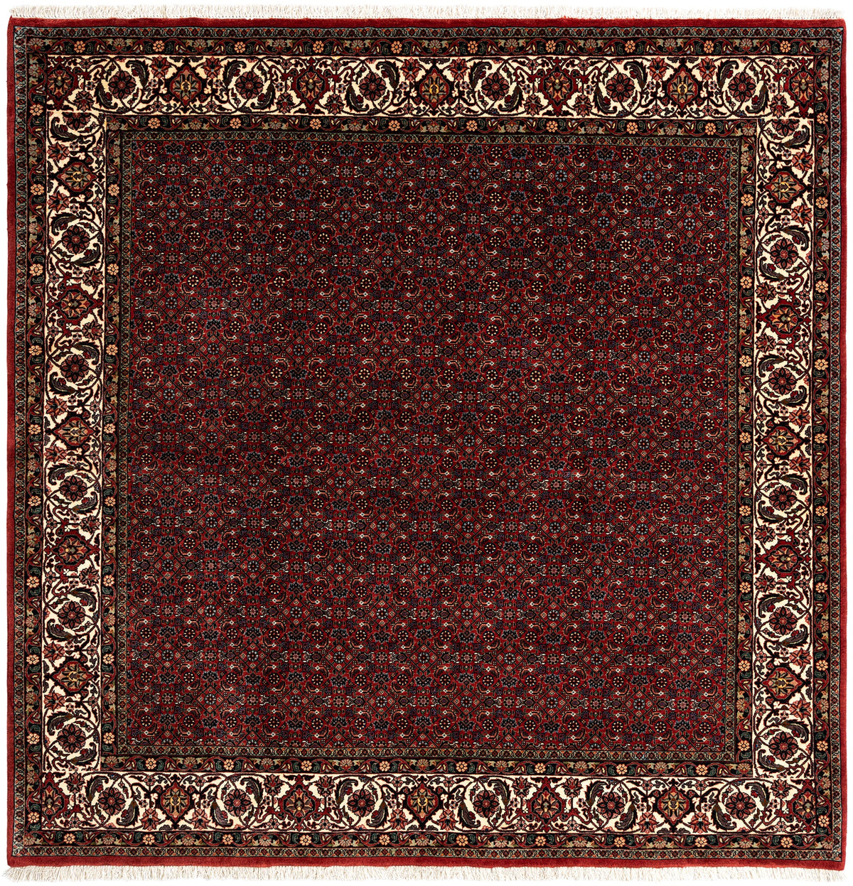 209x205 Bidjar con seta