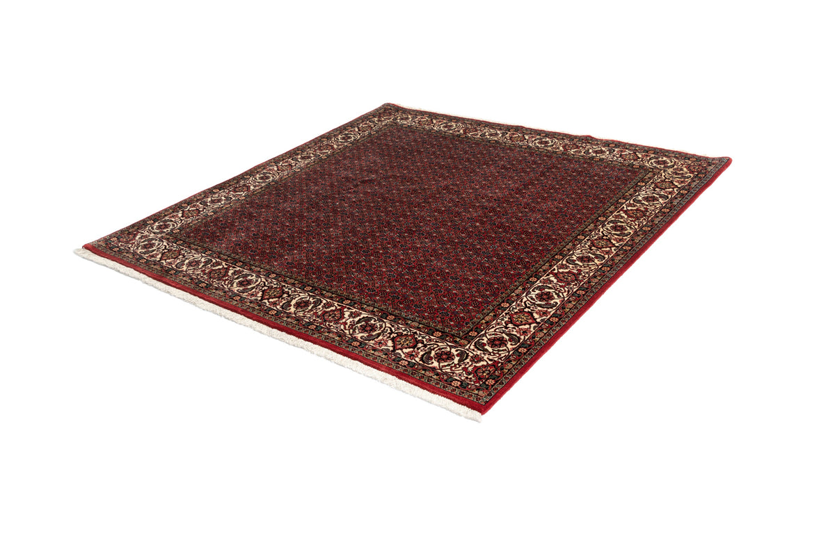 209x205 Bidjar con seta